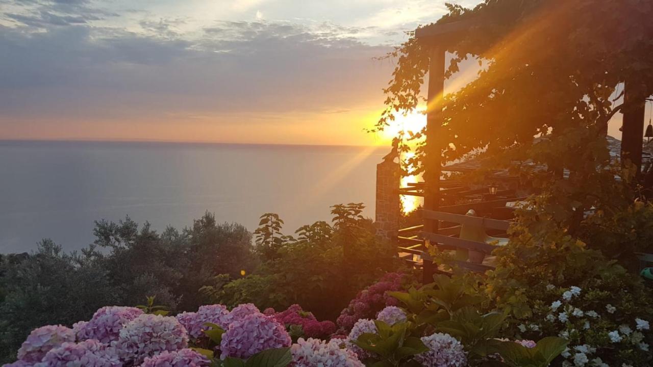 Analipsi Sea View Hommes Villa Zagorá Eksteriør bilde